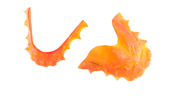 retainer